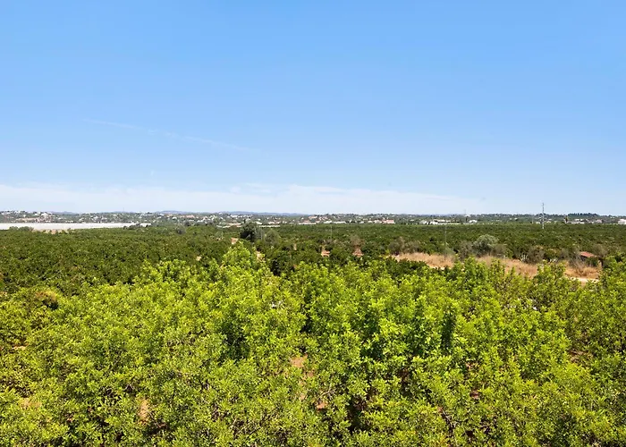 Nyaraló Quinta Alegre Tavira T3 Luz de Tavira